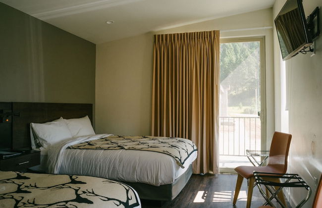 Terra Nova Cabins - Photo 5