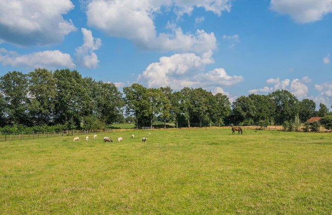 Grandeur Farmhouse in Dwingeloo at a National Park - Foto 28