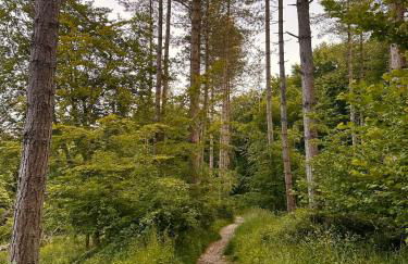 Chiltern Studio - Foto 23