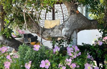 Sea front house & garden, Oropos - Foto 27