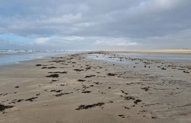 4 Person Holiday Home in Fano - Foto 27