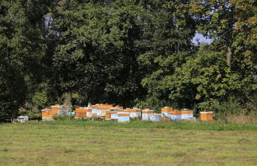 Agroturystyka Żuławiaczek - Foto 30