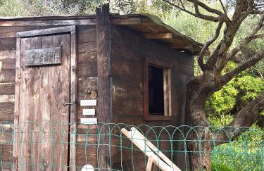 Bergerie de Charme Pedi Lione - Foto 63