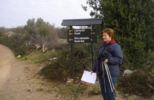 Apartment Lucy - Photo 39