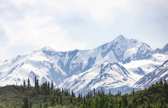 Escursione a Salcha, Delta Junction e Summit Lake - Foto 2