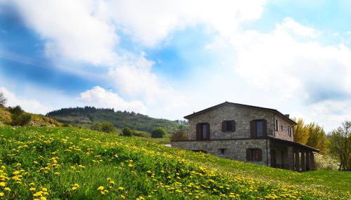 Fattoria Bio L'A Ceccoli - Foto 4, Garden