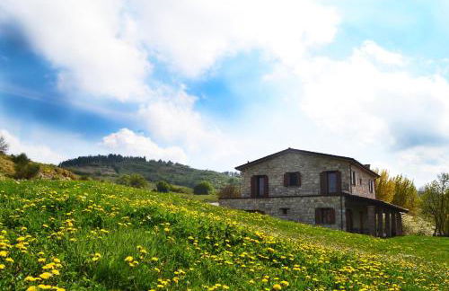 Fattoria Bio L'A Ceccoli - Foto 4