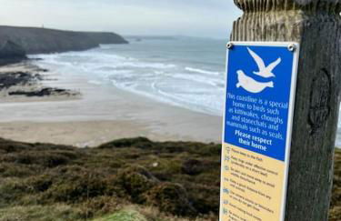 Little Hillside - Foto 34