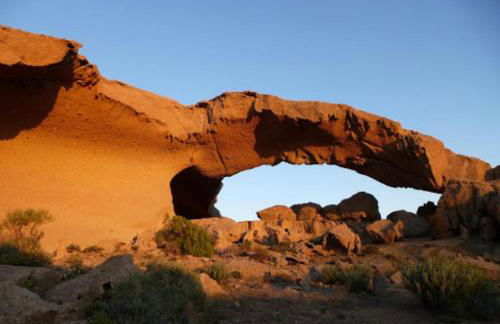 Caracola Home - Foto 38