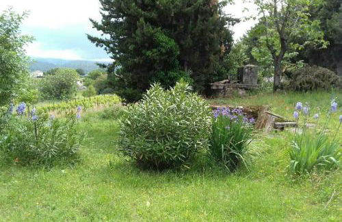 Mas de "La Garcine" - Foto 57