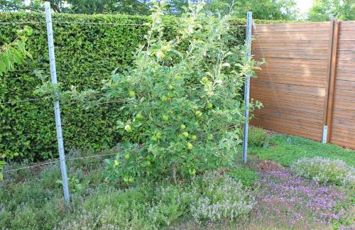 Ferienhaus Däschinger - Foto 67