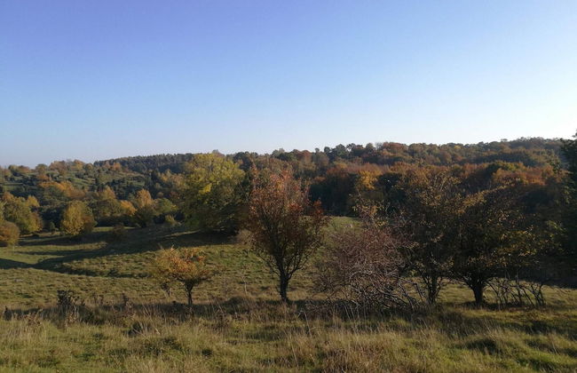 4 Star Holiday Home in Garsnas - Foto 10