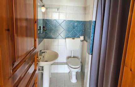 The Pine Trees - Foto 24