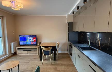 Nowa Dzielnica Cztery Apartamenty przy Tężni - Foto 33