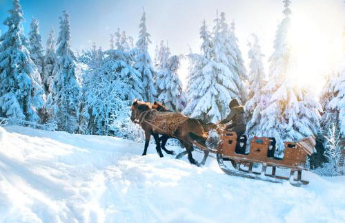 TraumFeWo Morgentau #Netflix #Terrasse von Harztraveler - Foto 28