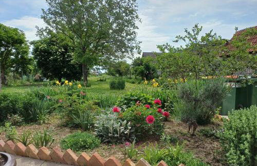 Kuća za odmor MIRA Vukovar - Foto 35