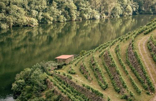 Casiñas do Sil - Foto 30