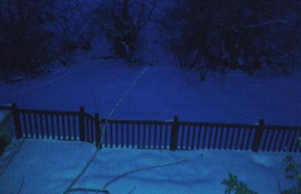 House in the Forest - Foto 45