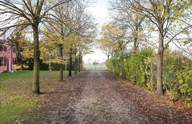 Countryside Bliss With Pool & Tennis - Foto 59