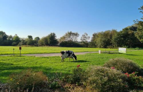 FEWO Wiesenschlummerland Harriersand - Foto 21