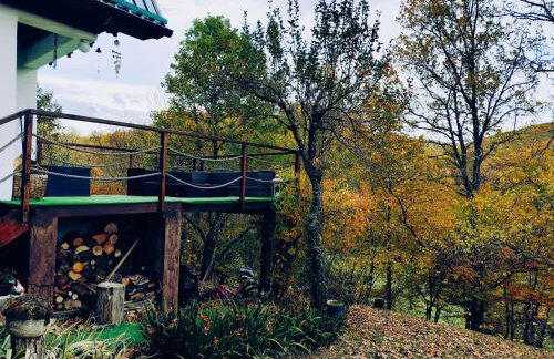 UNDER THE GREEN ROOF - Foto 36