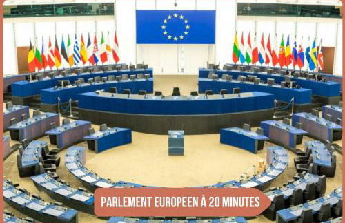 Urban Oasis, 15 minutes from Strasbourg historic centre - Foto 4