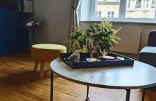 Appartement T3 centre ville Parking - Foto 42