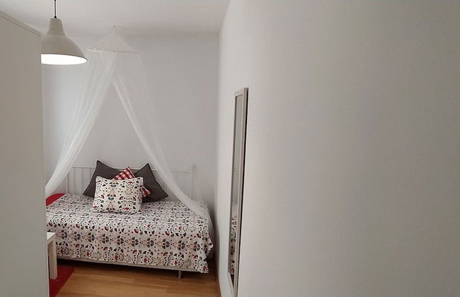 Caracol "trail Mountain La Palma" - Junto a Trébol - Foto 16