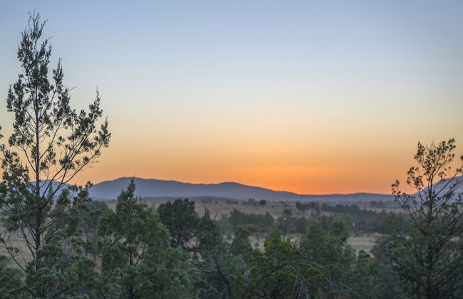 Rawnsley Park Station - Foto 39