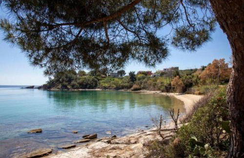 ENDLESS BLUE WAVE - Foto 40