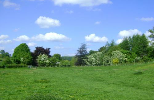 The Forest Country House B&B - Foto 26