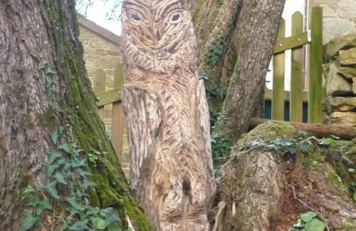 Complejo Turístico Rural A TORRE DE LAXE - Foto 58