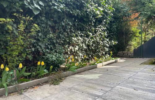 Modern-gemütliche Wohnung, ganz neu, in Neuenheim, Heidelberg - Foto 14