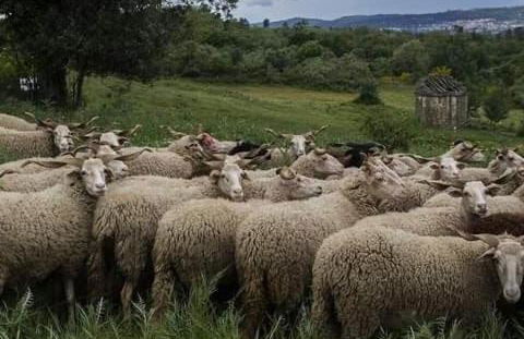 Rustic Terrace2 Bedrooms Farm House - Foto 53