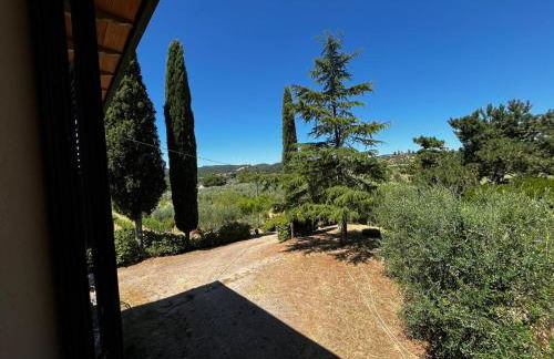 Podere Campanella - Photo 9