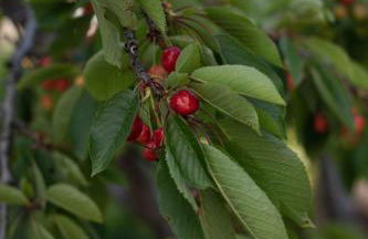 SOLE SPECIAL AP-DOUBLE SOFA BED with TOPPER - Foto 32