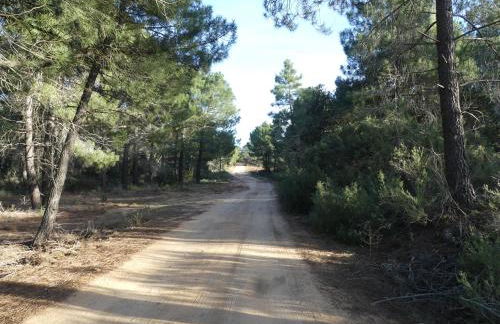 El Rodenal Casa Rural - Foto 37