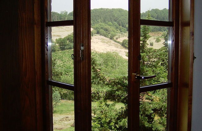 Bellavista farm of Quercini Maurizio - Foto 9