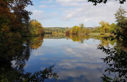 Ferienwohnung Gutermuth Obereisenheim - Foto 25