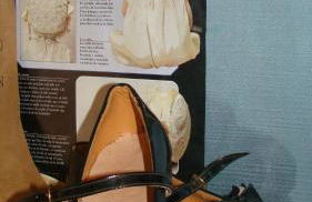 CASA RURAL PIEDRAHÍTA ( ART DÉCO ) - Photo 33