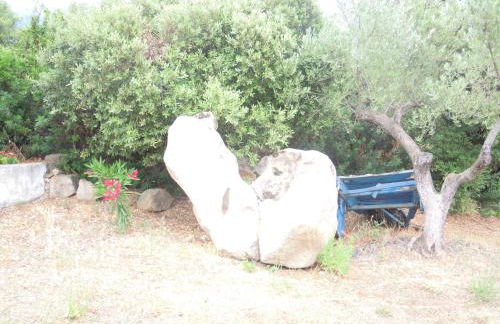 Agriturismo Camisadu - Foto 74