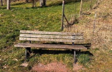 Kinderparadies Alt Lüxem - Foto 9