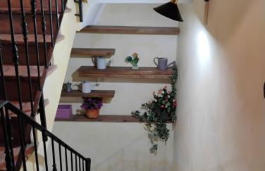 Il Gallo d' Oro - Scoiattolo - Foto 10