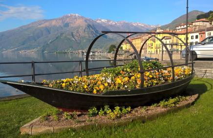 LITTLE FLOWER - Foto 72