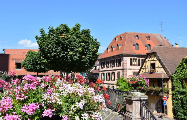 S'harzala Vert - Foto 9