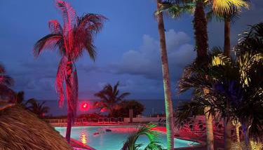 Relaxing Beach Escape - Oceanfront Pool and Tiki - Foto 4