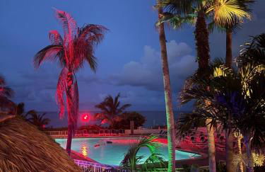 Relaxing Beach Escape - Oceanfront Pool and Tiki - Foto 4
