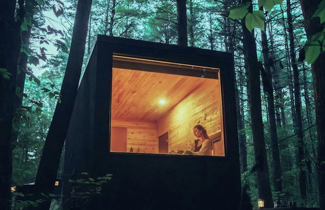 Postcard Cabins Barber Creek, Outdoor Collection by Marriott Bonvoy - Photo 68