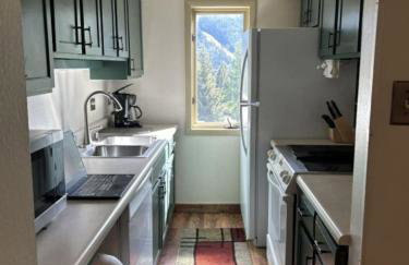 Copper Junction, Copper Mountain Unit 311 - Foto 8