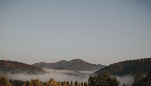 Dom Malowany domki - Foto 4